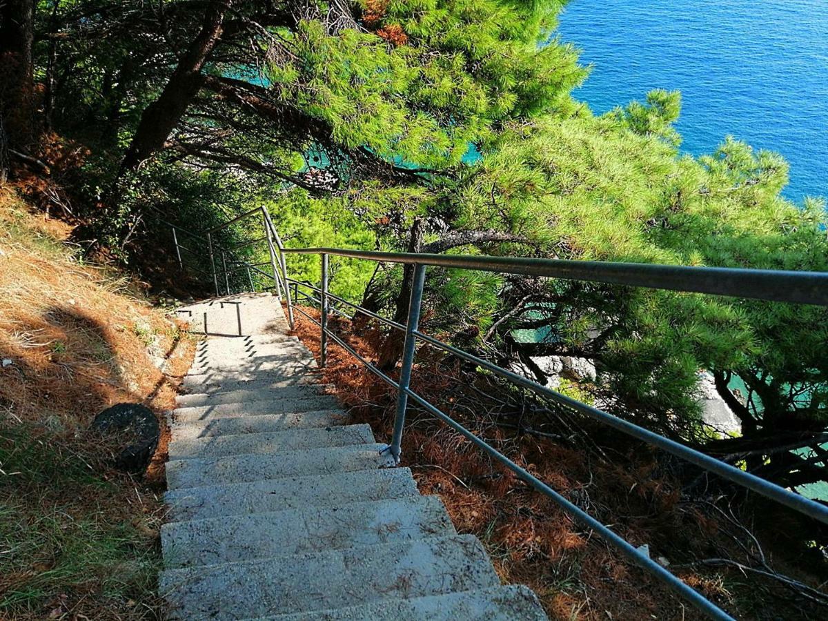 Apartments Villa Jadranka Marusici  Exterior photo